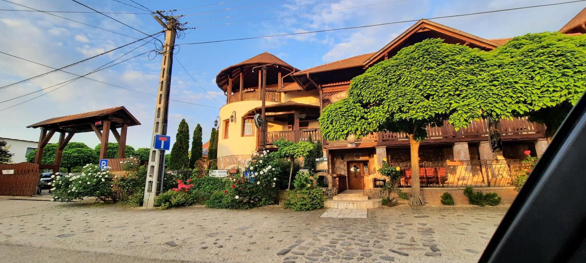 Castle Wellness Resort Sosto นีเรกฮาซา ภายนอก รูปภาพ